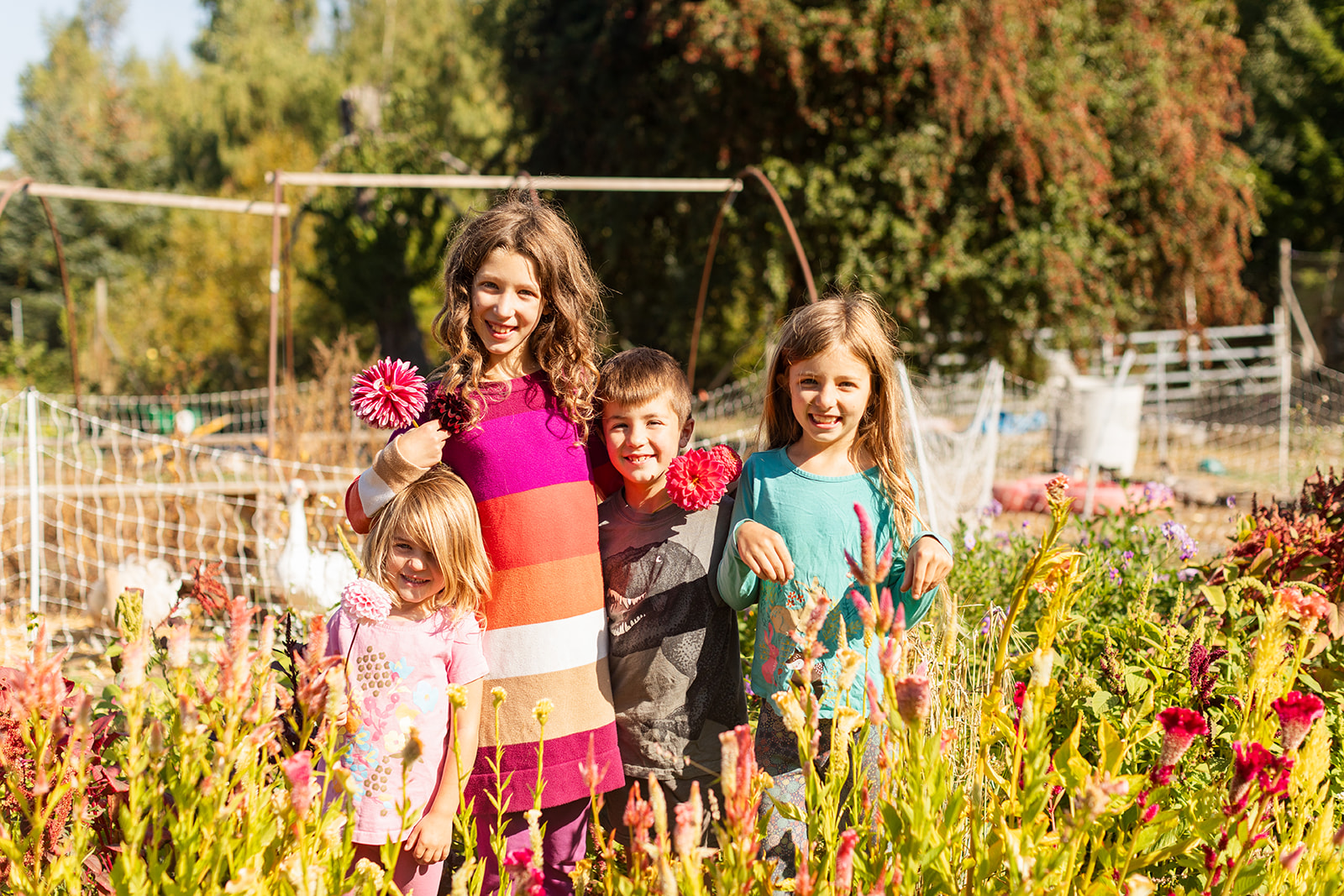 The four older Wargo kids